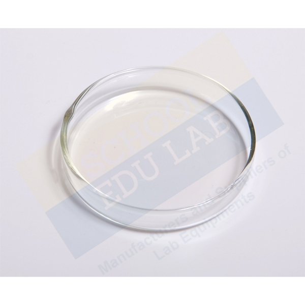 Petri Dish