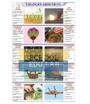 Changes Around Us Chart