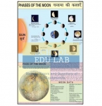 Phases of the Moon Chart