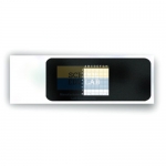 Ruled Microscope Slides