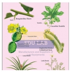 Homologous Organs Plants Chart