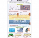 Wave Motion Chart